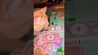 WHEN YOUR CAT BEATS YOU IN MONOPOLY