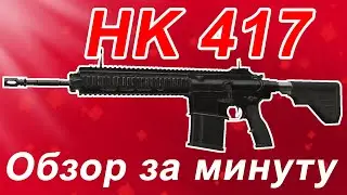 Обзор за 60 секунд HK417 в STALCRAFT X