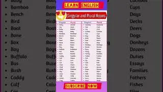 Singular And Plural | Learn English 📚🤗