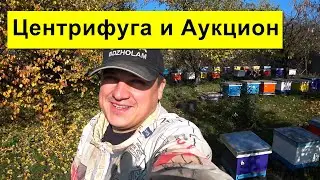 Центрифуга для воска 🔥 Аукцион ✅ Пчеловодство ноябрь 2020 🐝