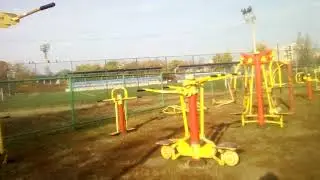 последние одуванчики осенью