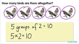 Multiplication Equations