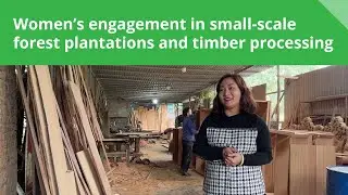 Women’s engagement in small-scale forest plantations and timber processing