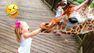 Funniest Cats And Dogs videos 2022  - Best Funny Animals 😅
