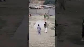 What a Beautiful Six _ Cricket Shorts 