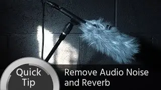 Quick Tip: Remove Audio Background Noise and Reverb Easily