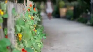 Canon C70 & DZOFilm Vespid 100mm T2.1 EF | Sample 1
