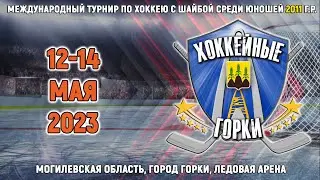 13.05.2023. ХГ. 2011. Pro Hockey - Могилев