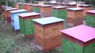Подставки для ульев.