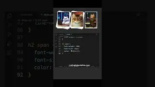 Profile Stack Card on Hover 