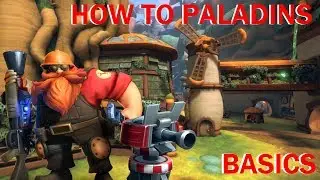 HOW TO PALADINS 