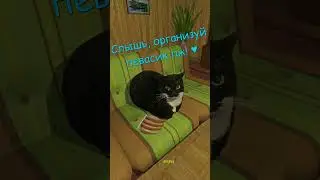 Как не стоит забирать котика с бара || My Summer Car