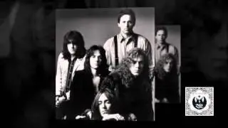 The Black Crowes & Jimmy Page - Shake Your Money Maker