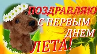 С первым днем ЛЕТА  Лучшее видео поздравление  Красивая видео открытка