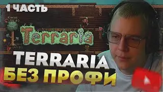 Пятёрка и команда: Terraria без профессионалов — ВСЁ пошло не так! [Часть 1]