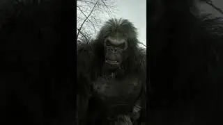 Bigfoot | Shorts | Film&Clips Free Movies