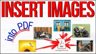 How to Insert Images into PDF with Adobe Acrobat Pro