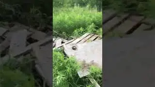 Сжигаем мусор
