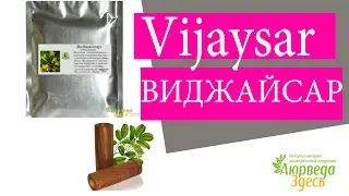 Дерево виджасар. Виджайсар Vijaysar. АЮРВЕДА ЗДЕСЬ