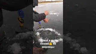 Первая щука на жерлицы👍открыли сезон
