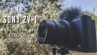 Why did I switch from Canon to Sony? | Is Sony ZV-1 really the BEST Vlogging Camera?