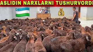 ASLIDIN NARXLARNI TUSHIRDI SHU QOZILAR ARZON BOLDI SHOSHILING