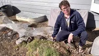 Quick update morel patch 3/7/21