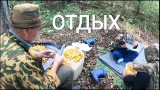 ПОХОД! ОТДЫХ! ТИХАЯ ОХОТА! Деньги на грибах.