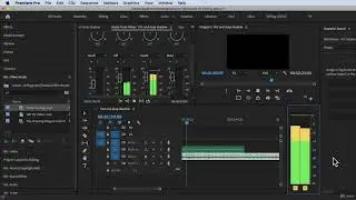 How to Use Audio Meters#Adobe Premiere Pro Complete Video Editing Masterclass Udemy