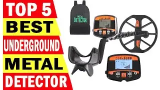 Top 5 Best Metal Detectors In 2024