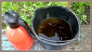 Био средство от колорадского жука своими руками