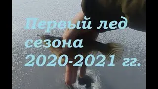 Первый лед сезона 2020-2021 гг. / Томская область, с. Коларово