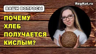 Why is bread sour? How to reduce the acidity of the starter culture? Mistakes of sourdough bread