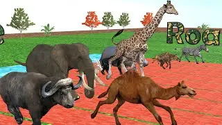 African Animal Race, Zebra, Gorilla, Elephant,, Hyena, Buffalo, Camel | Roar Race