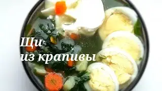 Зелёные ЩИ из крапивы - вкусный и ароматный летний суп, доступный с ранней весны до поздней осени!