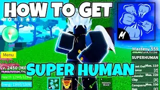 How to get Super Human Fighting Style in Blox Fruits