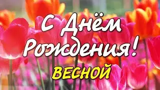 С Днём Рождения ! Самое красивое поздравление !