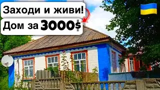 🇺🇦 Заходи и живи! Дом в селе за 3000$ Продажа недвижимости за копейки! Всё есть Уютное тихое село!