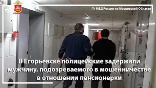 В Егорьевске полицейские задержали мужчину, подозреваемого в мошенничестве в отношении пенсионерки