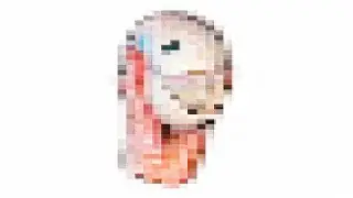 64 bits 32 bits 16 bits 8 bits 4 bits 2 bits 1 bit except Otamatones