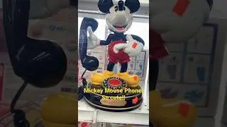 Disney Thrift Stores 
