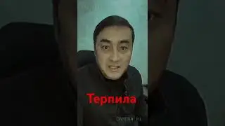Терпила