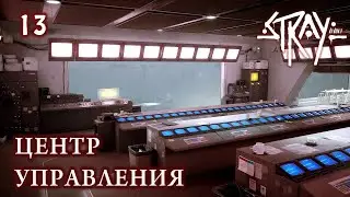 Stray #13 - Центр управления. Финал.