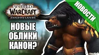 Кастомизация в Shadowlands! и летающие единороги | Новости Warcraft