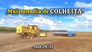 ☑️ Colhendo último lote do PIONEER 96Y90 RR!