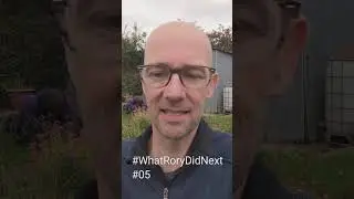WhatRoryDidNext #05