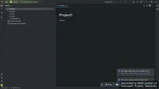 005 Check out Branch in intellij Idea