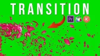 4K Falling Petals Transition Green Screen Source, UHD