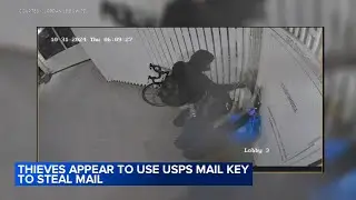 Suspects sought for stealing packages from Fishtown apartment using USPS mail key