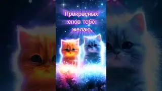 Доброй ночи! Прекрасных снов!#shorts